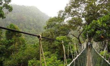 Taman Negara  3  giorni / 2 notti
