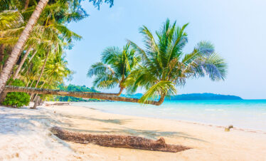 Caraibi