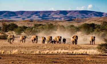Deserto, Fiumi e Avventura