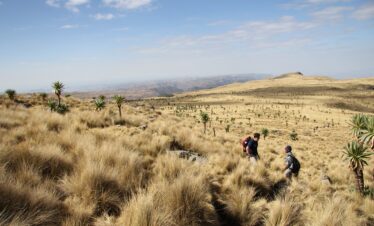 Trekking nel Parco del Semien