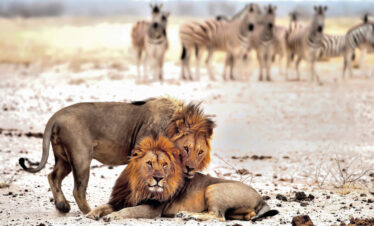 Namibia Expedition