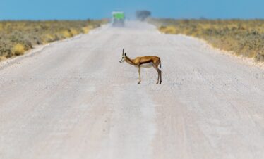 La splendida Namibia
