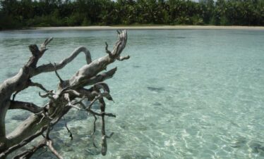Rarotonga