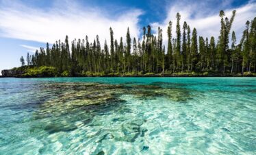 L’Isola dei Pini