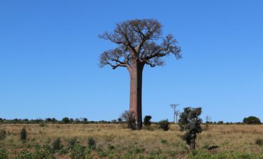 Le bellezze del Sud