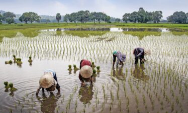 Appassionatamente Vietnam