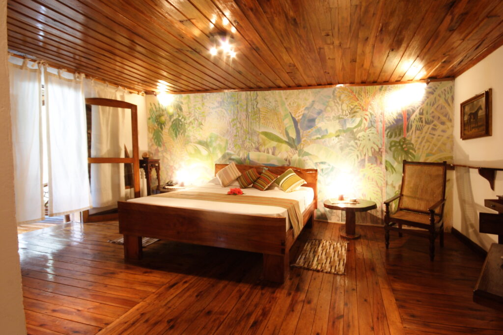 MasonsTravel_ChauveSourisRelais_IMG_4759