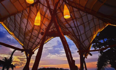 Guest Houses & Boutique Hotel