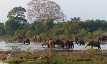 Sri Lanka Facile