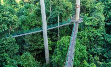 Danum Valley Rainforest