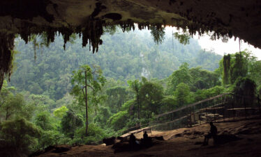Niah Caves