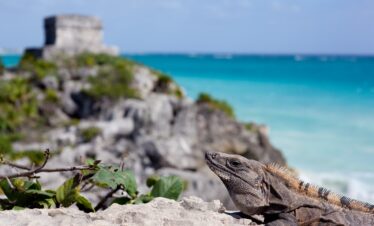 Yucatan e Mare
