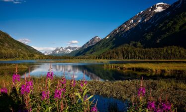 I Parchi Nazionali dell’Alaska