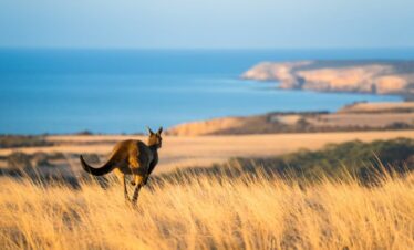 Alla Scoperta dell’Australia