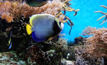 Bellezze naturali dell’Australia