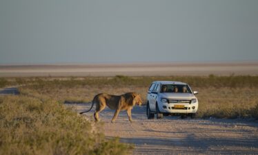 Magica Namibia