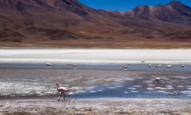 Cile Bolivia Overland – I grandi Altipiani Andini