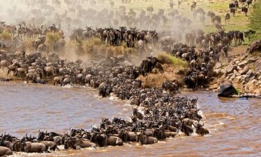 Kenya: La Grande Migrazione
