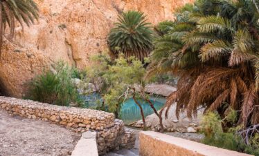 Tunisia: Storia e Oasi