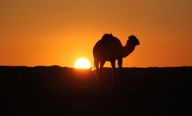 Tunisia Minitour nel Deserto