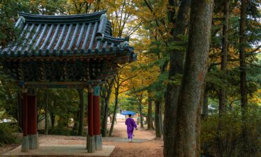 Corea del Sud