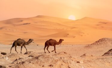 Il grande Sud e le Kasbah